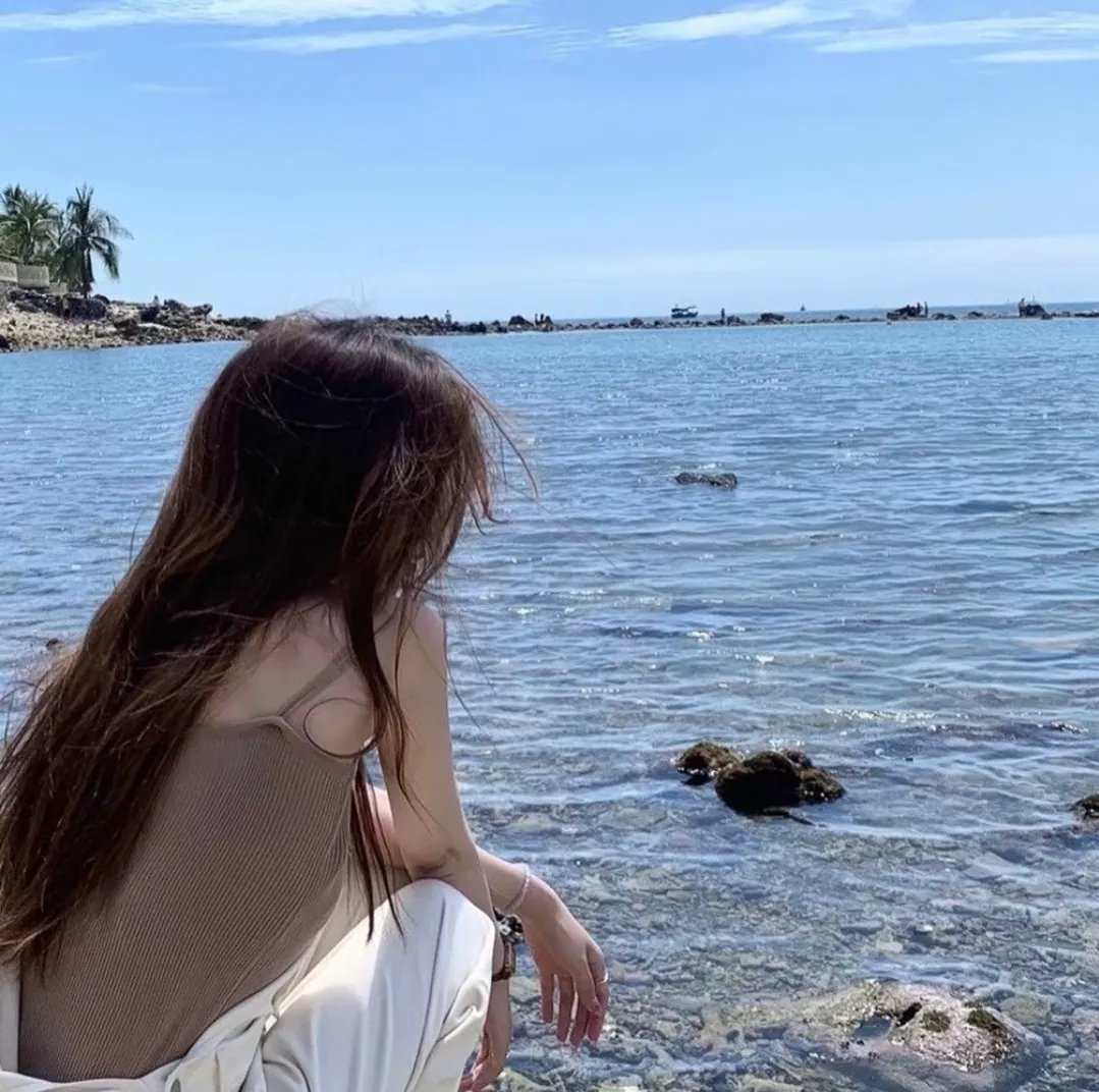 海龟故事