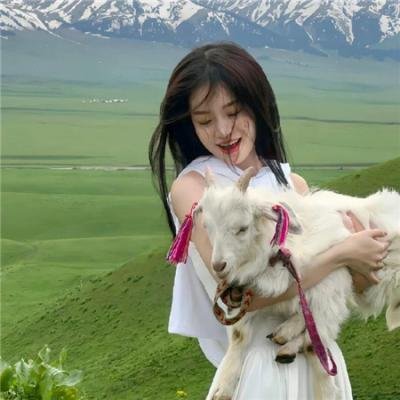 罗伯特·唐尼：自成一格